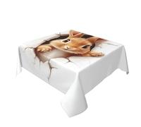 Copritavolo lavabile con testa di coniglio fuori dal buco tovaglia decorativa per cucina 152,4 x 152,4 cm