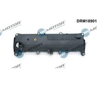 Copritestata per DACIA NISSAN RENAULT SUZUKI ALMERA CAPTUR CLIO CUBE DOKKER DUST