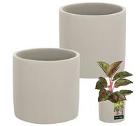 Coprivaso in ceramica, effetto cemento, 14,5 cm, set da 2