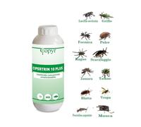Copyr Cipertrin 10 plus Insetticida Concentrato 1 LT Insetticida