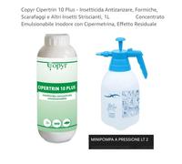 Copyr CIPERTRIN 10 plus-Kit Insetticida, Nebulizzatore a pressione + 1lt
