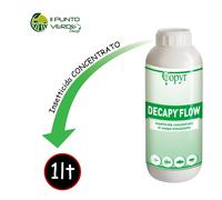 Copyr DECAPY FLOW 1 LT DELTAMETRINA Insetticida concentrato professionale