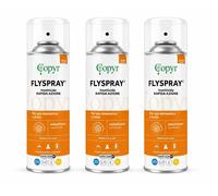 Copyr - FLYSPRAY - Insetticida pronto all'uso contro tutti gli insetti-3pz-400ml