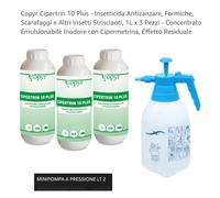 Copyr l CIPERTRIN 10 plus Kit Insetticida: Nebulizzatore Pressione + 3pz da 1lt