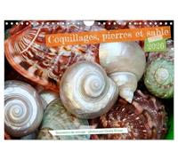 Coquillages, pierres et sable (Calendrier mural 2026 DIN A4 vertical), CALVENDO calendrier mensuel: Souvenirs maritimes qui donnent envie de la mer