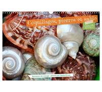 Coquillages, pierres et sable (Calendrier mural 2027 DIN A3 vertical), CALVENDO