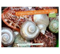 Coquillages, pierres et sable (Calendrier mural 2027 DIN A4 vertical), CALVENDO