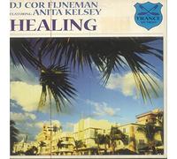 Cor Fijneman Ft Anita Kelsey - Healing