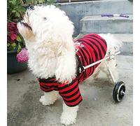 Cora Pet Regolabili Due Ruote Cani Sedia A Rotelle in Alluminio per Riabilitazione delle Zampe Posteriori dei Cani Disabili, Taglia S, Altezza 22-36Cm, Larghezza 14-23Cm, Peso 4-11Kg