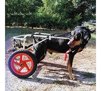 Cora Pet Sedia a Rotelle per Cane Carrellino Scooter Carrozzina per Cani,Adatto a Animali Domestici Disabili Piedi Gambe Posteriori Riabilitazione,Regolabile,2 Ruote