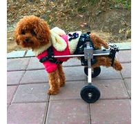 Cora Pet Sedia A Rotelle Regolabile per Cani di Piccola Taglia, per Disabili, 2 Ruote (XS - Peso: 2-5 kg, Altezza: 20-32Cm)