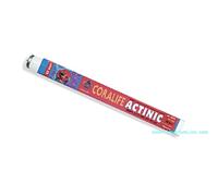 Coralife Neon T8 Actinic 36w