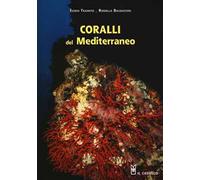 Coralli del Mediterraneo