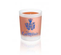 Corallium Candela - Formato: 190 gr