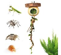 Corda Da Arrampicata Per Rettili | Giocattolo da Arrampicata per Mantide Religiosa | Decorazione Habitat Raganella,Adatto a Allevatori Proprietari Amanti Animali Educatori Negozi Casa Ufficio Soggiorn