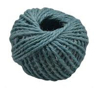 Corda di spago di Iuta, Corda di Iuta, Corda di Canapa, Corda di Iuta, 2 mm, Rotolo da 30 m, Multicolore, for Artigianato e Confezioni Regalo(Blue)