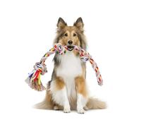 Corda Giocattolo per Cani in 100% Cotone benefica per la Salute mentale del Cane