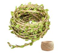 Corda per foglie verdi da 10 m, con corda di canapa da 2 m, accessori per la decorazione del giardino, corda di canapa per foglie, forniture per feste, utilizzato per giardinaggio, confezioni regalo