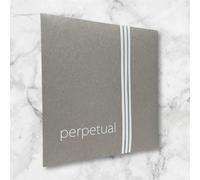 Pirastro Perpetual Cadenza Coloncello C String