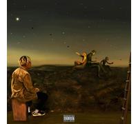 Cordae From a Birds Eye View (Vinyl LP)