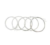 Corde per Oud, set di corde per Oud in nylon trasparente placcato argento in lega di rame, accessori di ricambio per parti di accessori per Oud (10 corde)