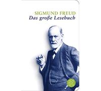 Cordelia Schmidt-Hellerau Das große Lesebuch (Fischer Tasch (Copertina rigida)