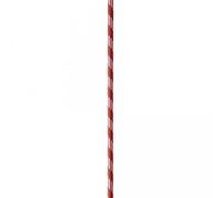 Cordino PES 8mm Poliestere Rosso 100m Bassa Elasticità EN 564 Sport Lavoro