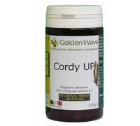 CORDY UP 60CPS