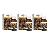 Cordyceps 180 Pastiglie 3x90 g Pastiglie