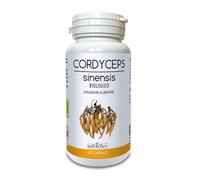 Cordyceps Sinensis 60cps