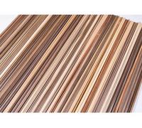 Corel LF210 Listello Flex 2x10mm lunghezza 1m (10pz) modellismo