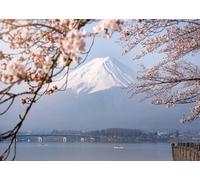 CORFOTO 1.5x1.2m Sfondo con Monte Fuji, Giappone, Fiori di ciliegio, Incorniciato, Montagna innevata, Fiore di ciliegio rosa, Sfondo fotografico per matrimonio, compleanno, Photo Booth