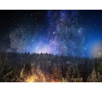 CORFOTO 1.5x1.2m Sfondo notturno con scena di foresta, cielo stellato, galassia, stelle, sfondo fotografico, universo, nebulosa, sfondo per decorazioni per feste, accessori per studio fotografico