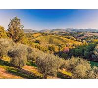 CORFOTO 1.5x1.2m Sfondo paesaggistico con vigneti toscani, sfondo di uva da vino italiana, campagna, uva, terreni agricoli, decorazioni, festa del vino, stand per servizi fotografici