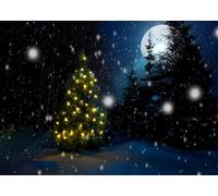 CORFOTO 1.5x1m Sfondo di alberi di Natale notturni Luna innevata Cielo stellato Sfondo fotografico Decorazioni per feste a tema natalizio Celebrazione di Capodanno Decorazione per la casa