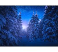 CORFOTO 1.5x1m Sfondo di pini innevati alpini Notte Foresta innevata Cielo stellato Sfondo fotografico Albero di Natale Decorazione per feste di Natale Ritratto Photo Booth Props