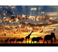 CORFOTO 2.1x1.5m Sfondo di animali africani Grande migrazione di animali africani Sfondo fotografico al tramonto Sfondo per feste a tema Safari africano Sfondo per cabine fotografiche