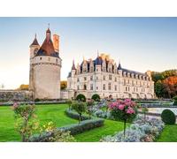 CORFOTO 2.5x1.8m Francia Castello di Chenonceau Foto Sfondo Valle della Loira Europa Giardino fiorito Castello Fotografia Sfondo Francese Vecchio Castello Decorazione per feste di matrimonio