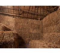 CORFOTO 2.5x1.8m Sfondo di pagliaio di fattoria e fienile, sfondo autunnale di balle di fieno di fienile rurale, sfondo del raccolto autunnale, fondali fotografici di vecchi fienili