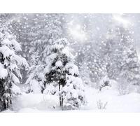 CORFOTO 2.7x1.8m Sfondo invernale con alberi innevati e brina, sfondo invernale con albero di pino innevato, sfondo fotografico per Natale, Capodanno, decorazioni per feste ed eventi
