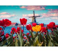 CORFOTO 3.5x2.5m Sfondo di tulipani in fiore Tulipani primaverili Mulini a vento Sfondo fotografico Cielo blu Nuvole Fiori primaverili Sfondi fotografici Decorazione per feste in casa