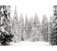 CORFOTO 3.5x2.5m Sfondo invernale innevato e freddo, pini innevati, alberi di Natale, fondali fotografici, decorazioni per feste di Natale, accessori per cabine fotografiche