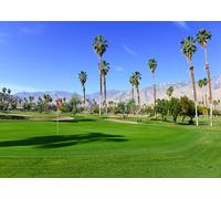 CORFOTO 3.5x3m Palm Springs Golf Course Green Backdrop Fabric Putting Green Bandiera rossa Palme e vista sulle montagne Motivo tropicale Resort Tema Sfondo per eventi e cabine fotografiche