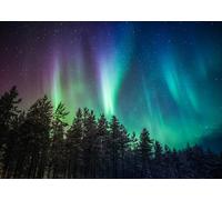 CORFOTO 3.5x3m Sfondo dell'aurora boreale Foresta Aurora Boreale Cielo notturno stellato Fotografia Sfondo Pineta Luci polari Sfondo Decorazioni per la casa Photo Booth Studio Puntelli