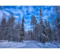 CORFOTO 3.5x3m Sfondo invernale bosco innevato Montagna Foresta Sfondo fotografico Pini innevati Cielo azzurro Paesaggio all'aperto Ritratto Accessori per studio fotografico