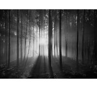 CORFOTO 3x2.5m Sfondo nebbioso di Halloween, sfondo della foresta oscura, sfondo spaventoso della foresta spettrale, sfondo nebbioso del bosco, sfondo fotografico inquietante, striscione per feste