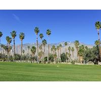 CORFOTO 3x2.5m Sfondo tessile per campo da golf Palm Springs Erba verde rigogliosa Palme e vista sulle montagne Motivo tropicale Resort Tema Sfondo per cabine fotografiche