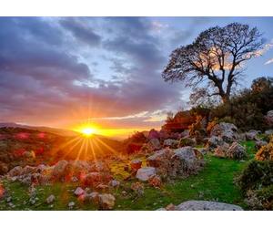 CORFOTO 3x2.5m Tessuto per fondale con paesaggio roccioso e quercia solitaria, tramonto sulle colline mediterranee, sfondo per eventi e cabine fotografiche