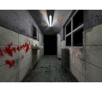 CORFOTO 3x2m Sfondo interno bagno horror oscuro Sfondo stanza infestata Sfondo fotografia Halloween Sfondo rovine Edifici abbandonati Sfondo festa notturna horror Studio fotografico Prop