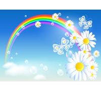 CORFOTO 4.5x3m Sfondo con margherite arcobaleno Sfondo con farfalle trasparenti Decorazioni per raduni a tema primaverile Photo Booth